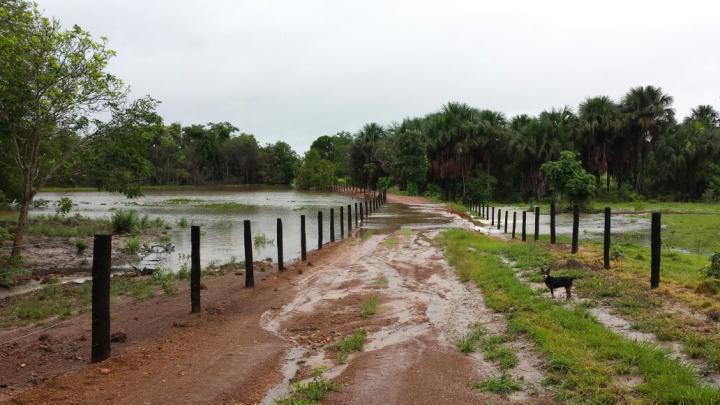 Fazenda à venda com 3 quartos - Foto 9