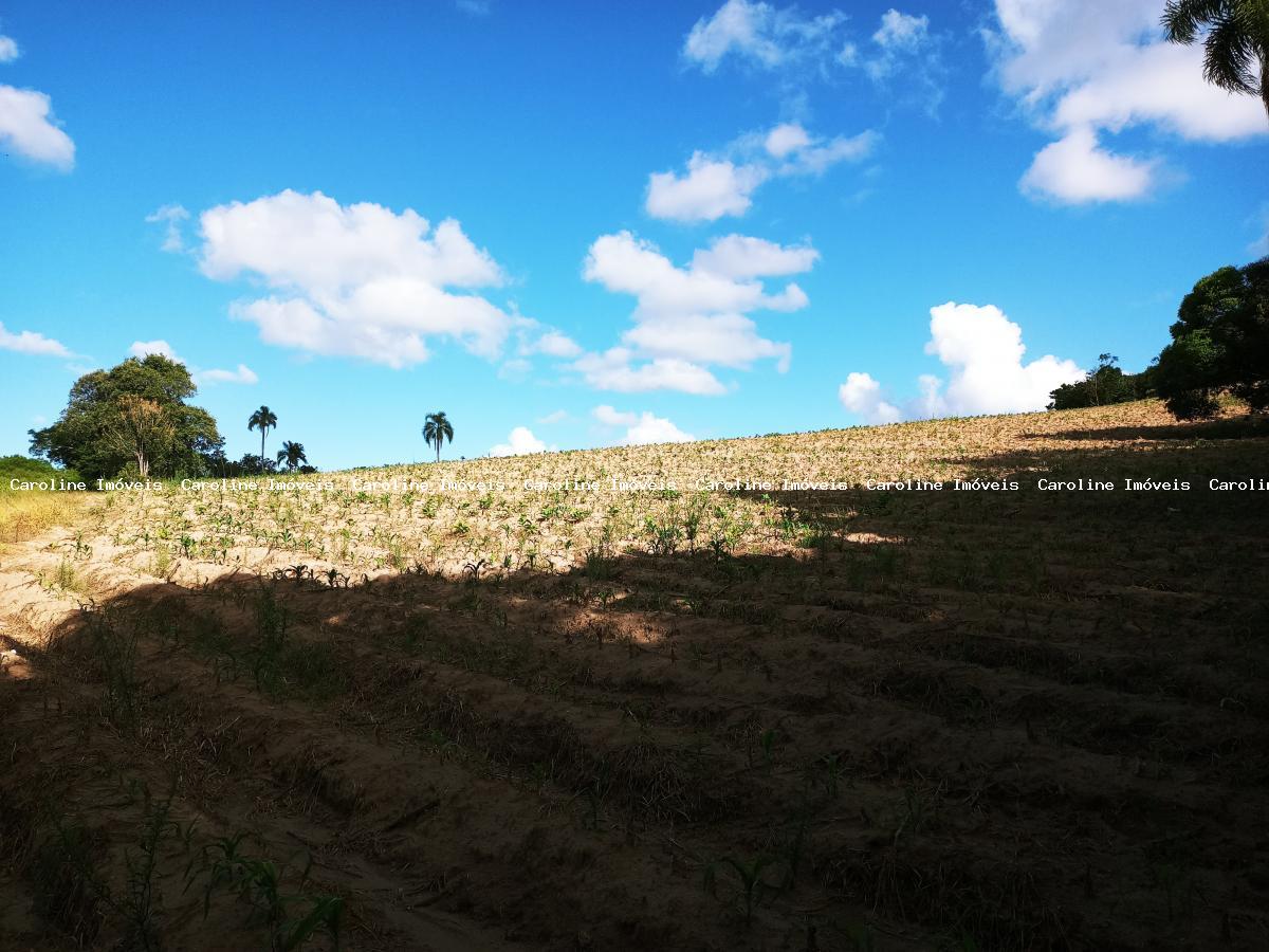 Sítio à venda, 250000m² - Foto 24