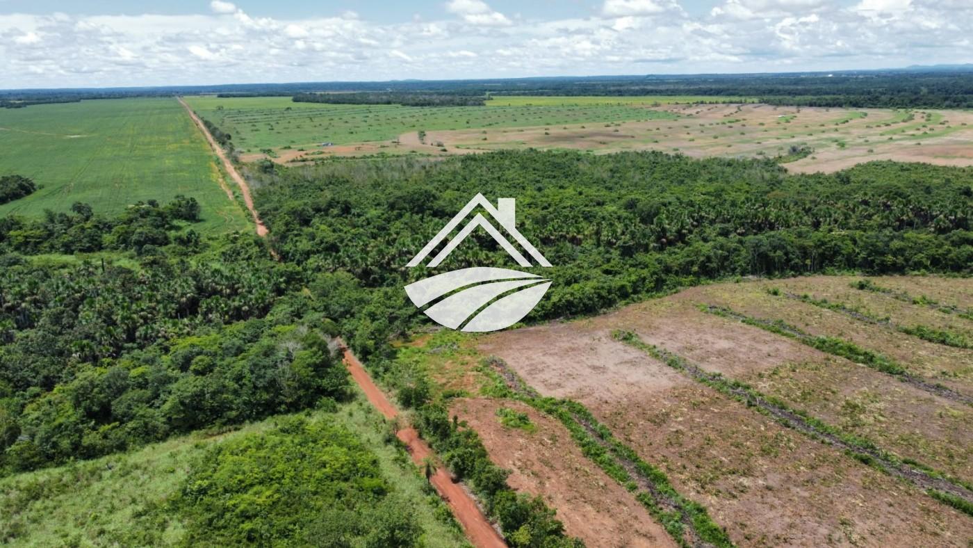 Fazenda à venda, 1m² - Foto 12