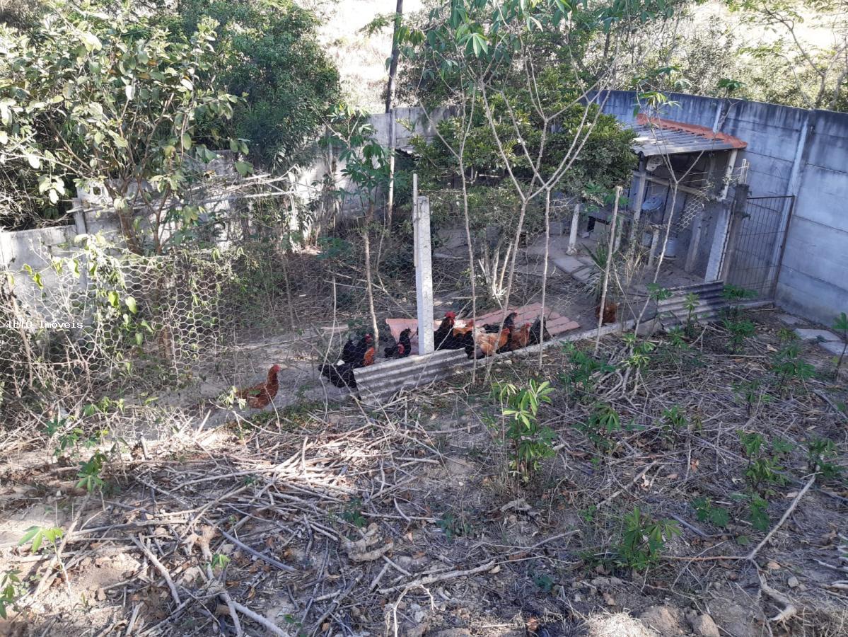 Sítio à venda com 5 quartos, 4800m² - Foto 46