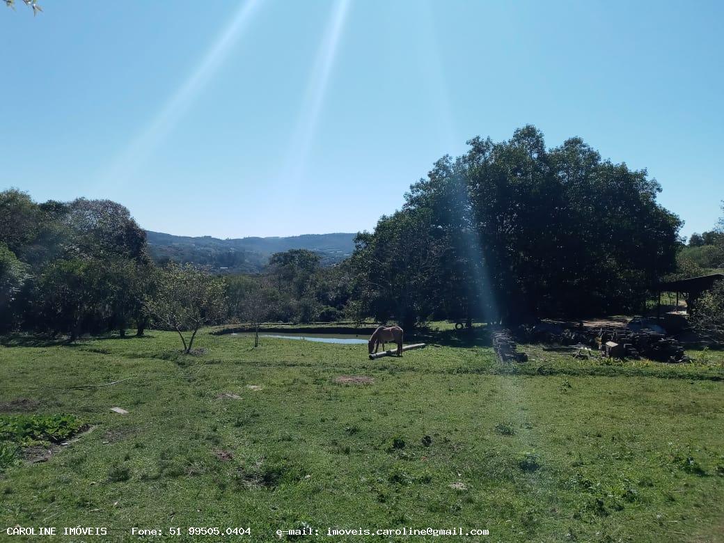 Sítio à venda com 2 quartos, 180000m² - Foto 14