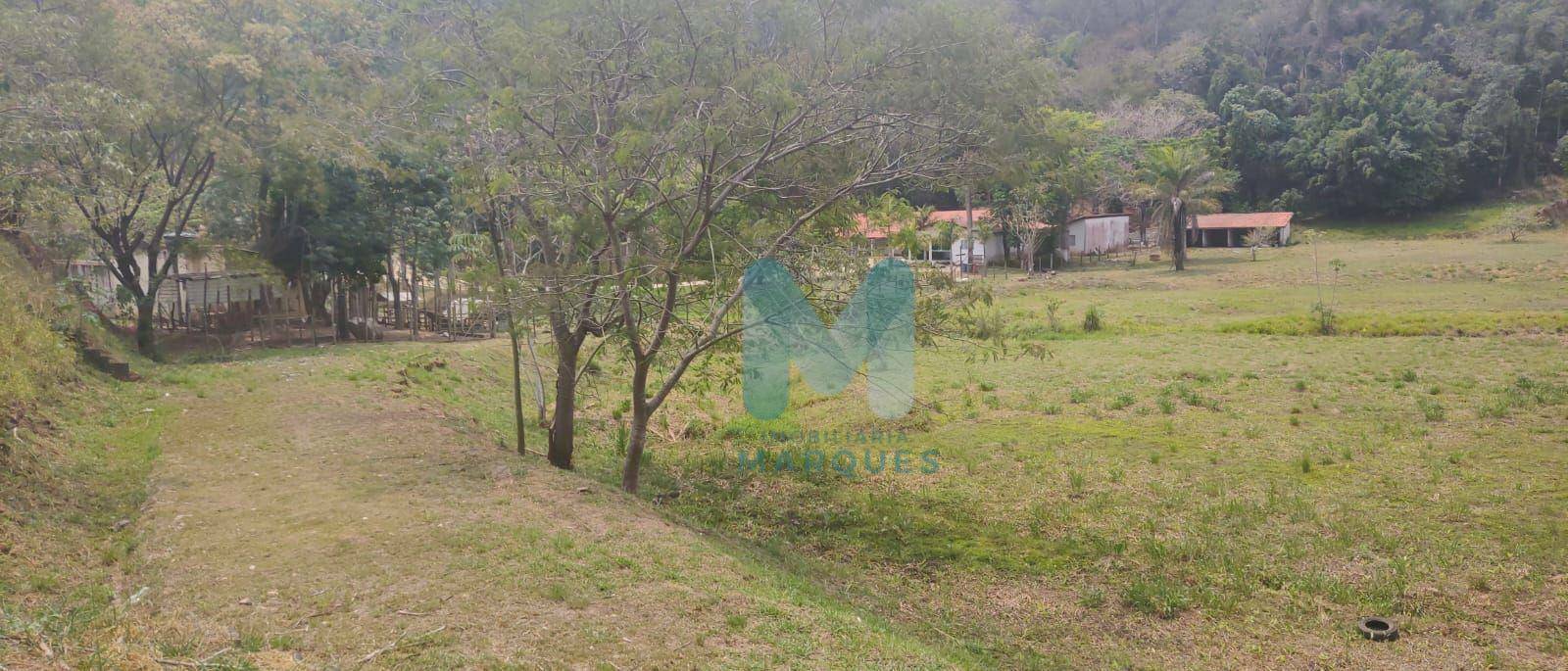 Terreno à venda, 66000M2 - Foto 5