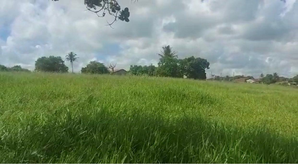Terreno à venda - Foto 2