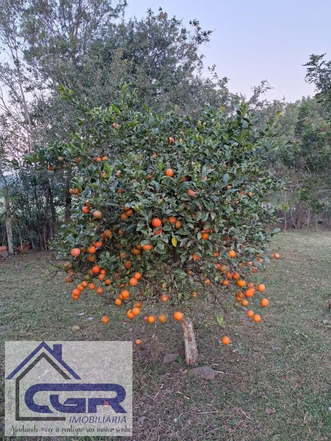 Fazenda para alugar com 3 quartos, 6000m² - Foto 13