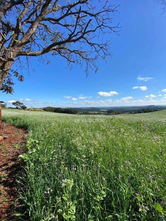 Fazenda à venda, 484000M2 - Foto 2