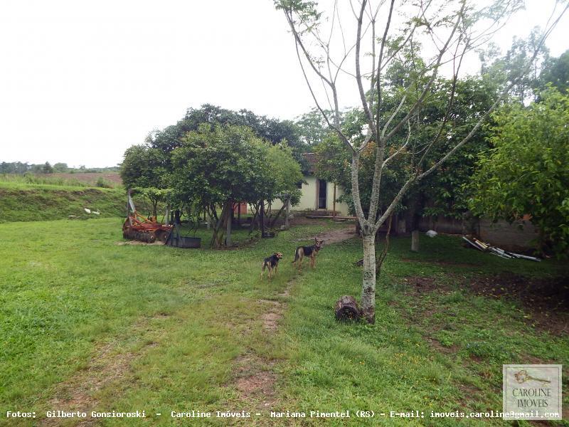 Sítio à venda com 3 quartos, 60000m² - Foto 7