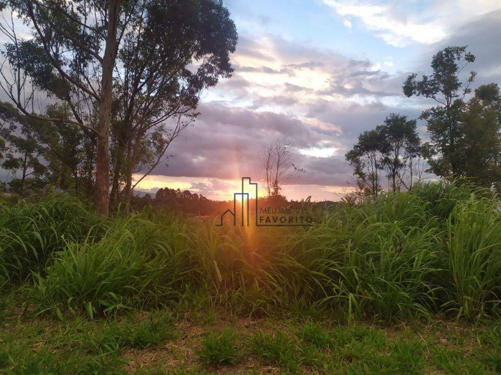 Terreno à venda, 361M2 - Foto 6