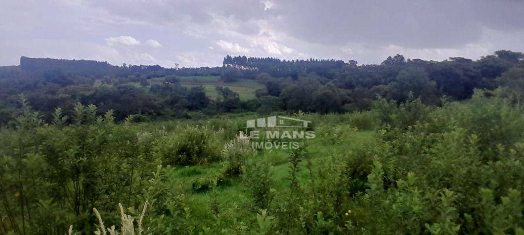 Terreno à venda, 115810M2 - Foto 3