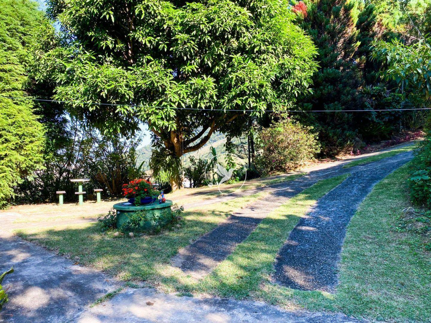 Sítio à venda com 3 quartos, 8000M2 - Foto 28