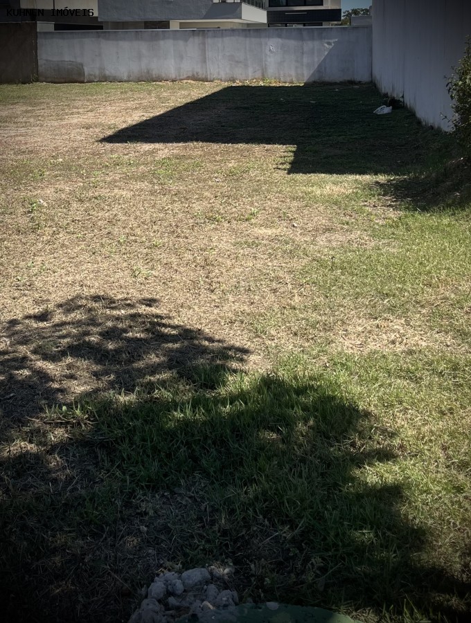 Terreno à venda, 333m² - Foto 6
