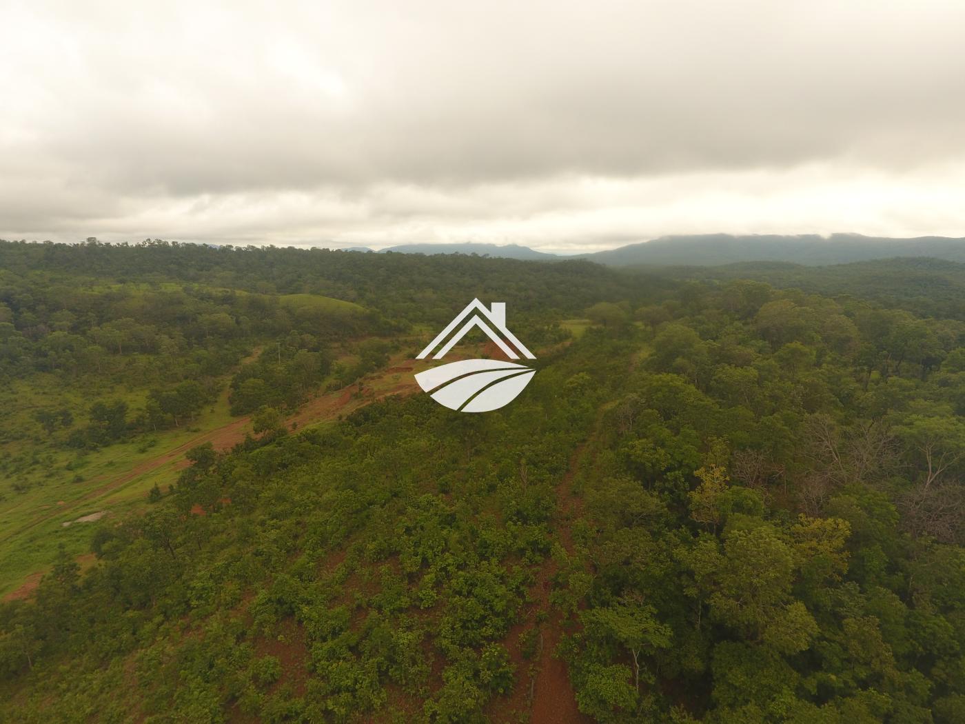 Fazenda à venda, 1m² - Foto 18