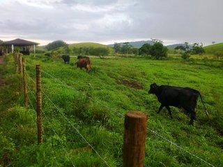Fazenda à venda com 5 quartos, 140m² - Foto 15