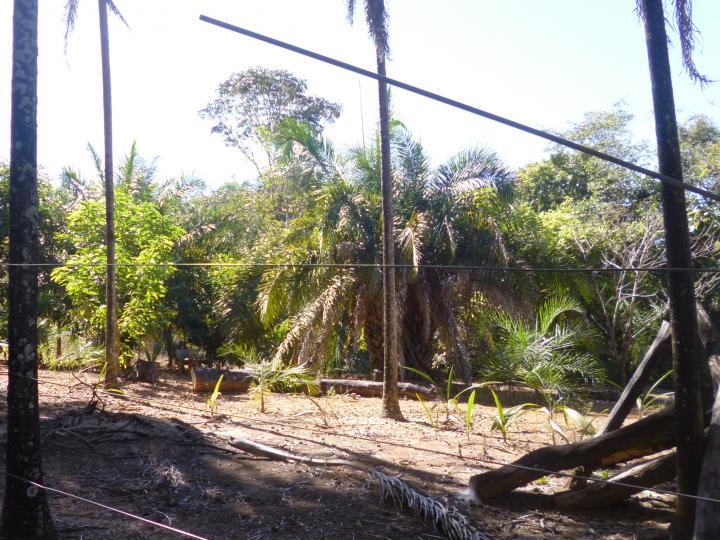 Fazenda à venda - Foto 26