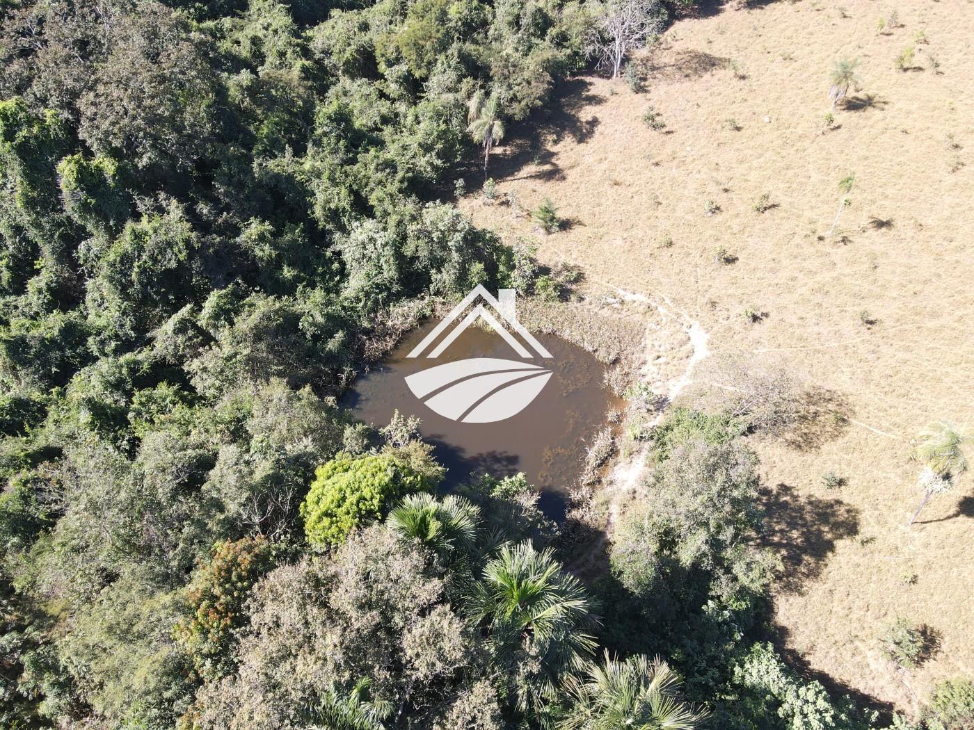 Fazenda à venda com 3 quartos, 452980m² - Foto 12