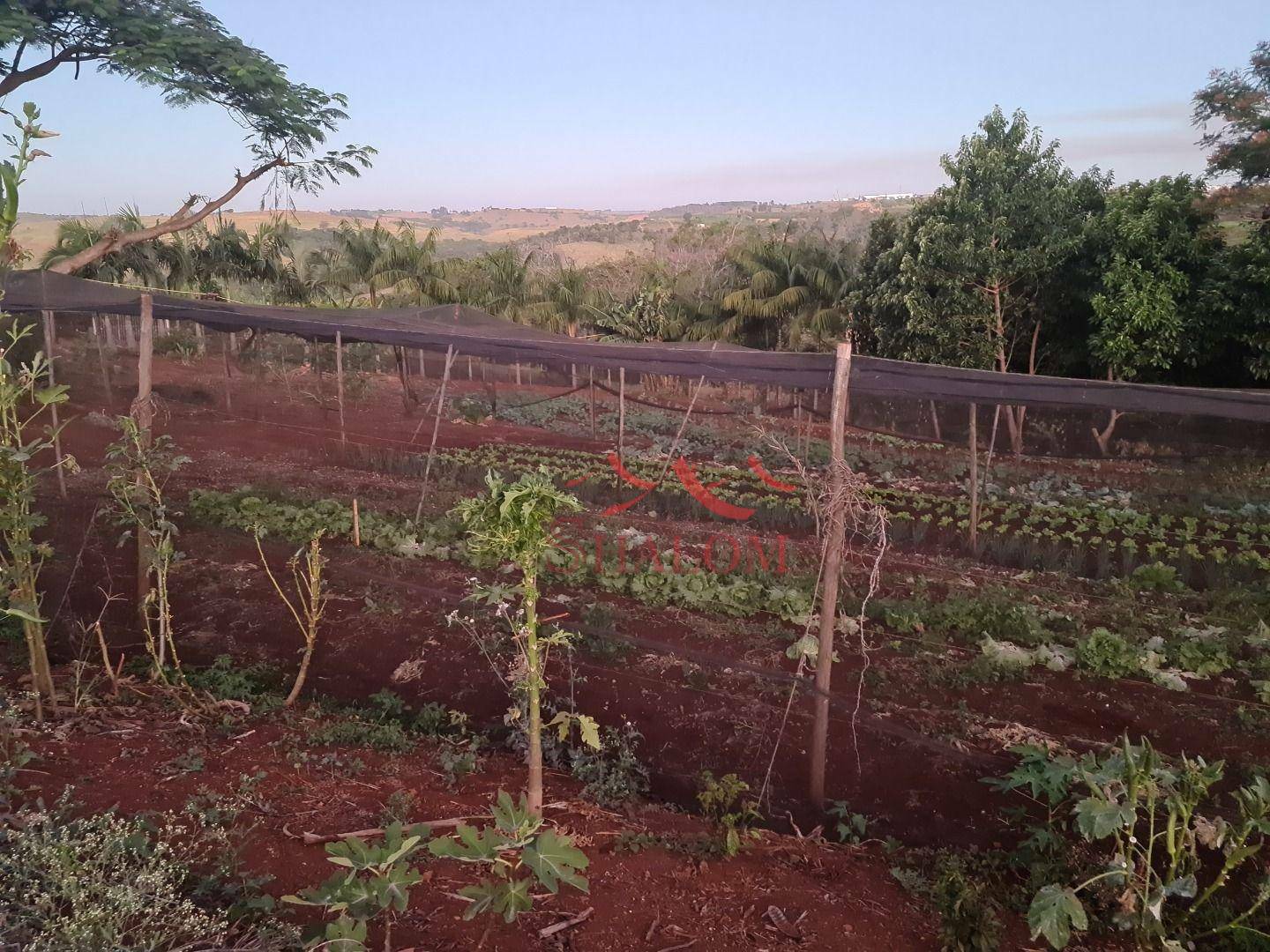 Chácara à venda com 4 quartos, 300m² - Foto 29