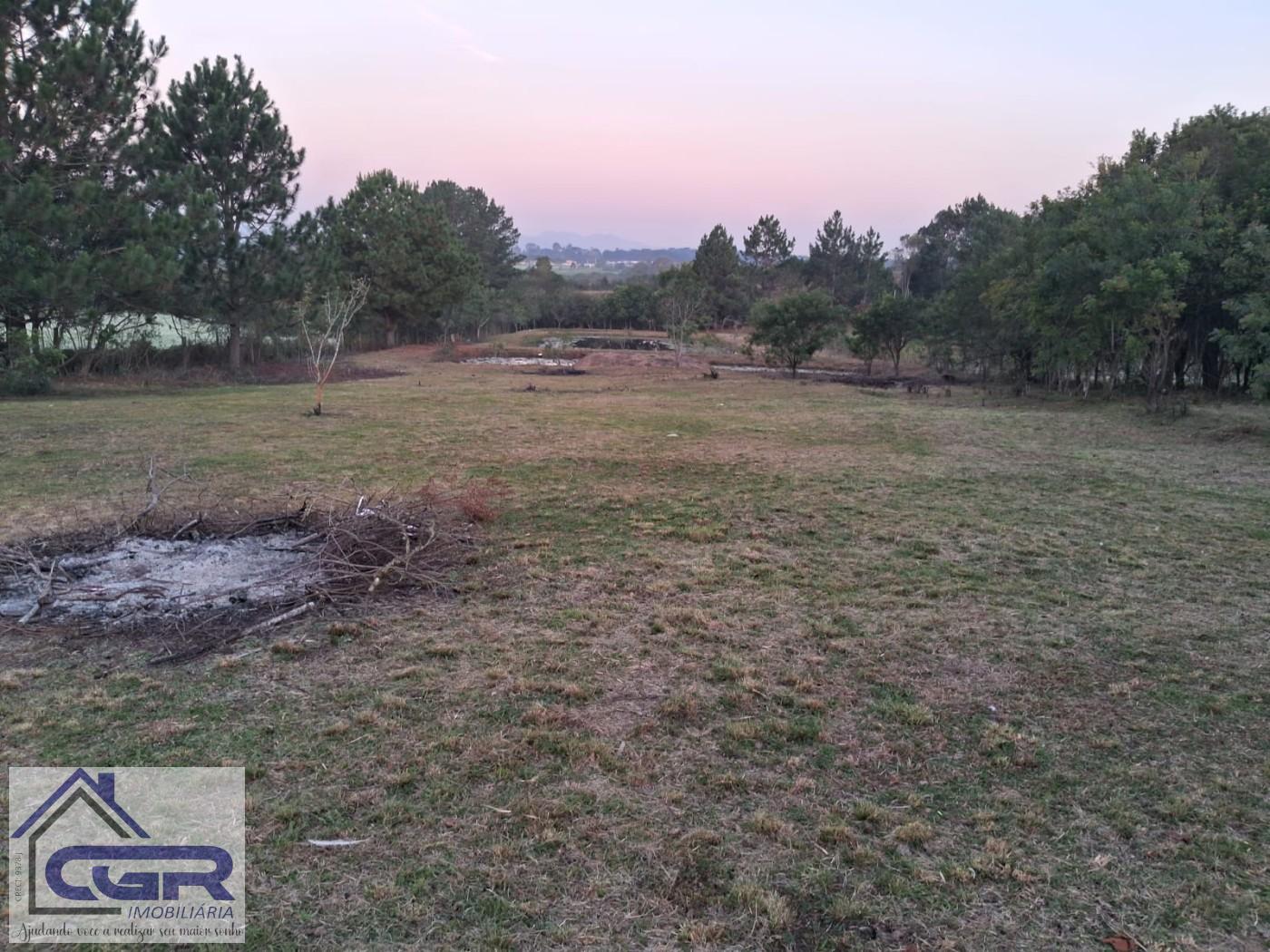 Fazenda para alugar com 3 quartos, 6000m² - Foto 22