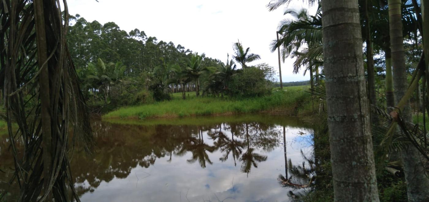 Chácara à venda, 22000m² - Foto 11