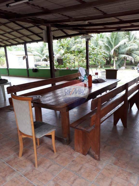 Sítio à venda com 3 quartos, 250m² - Foto 10