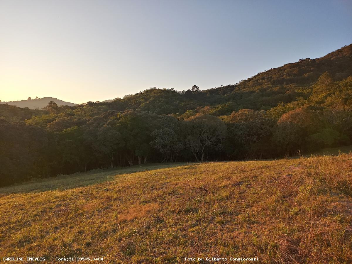 Sítio à venda com 3 quartos, 586000m² - Foto 24