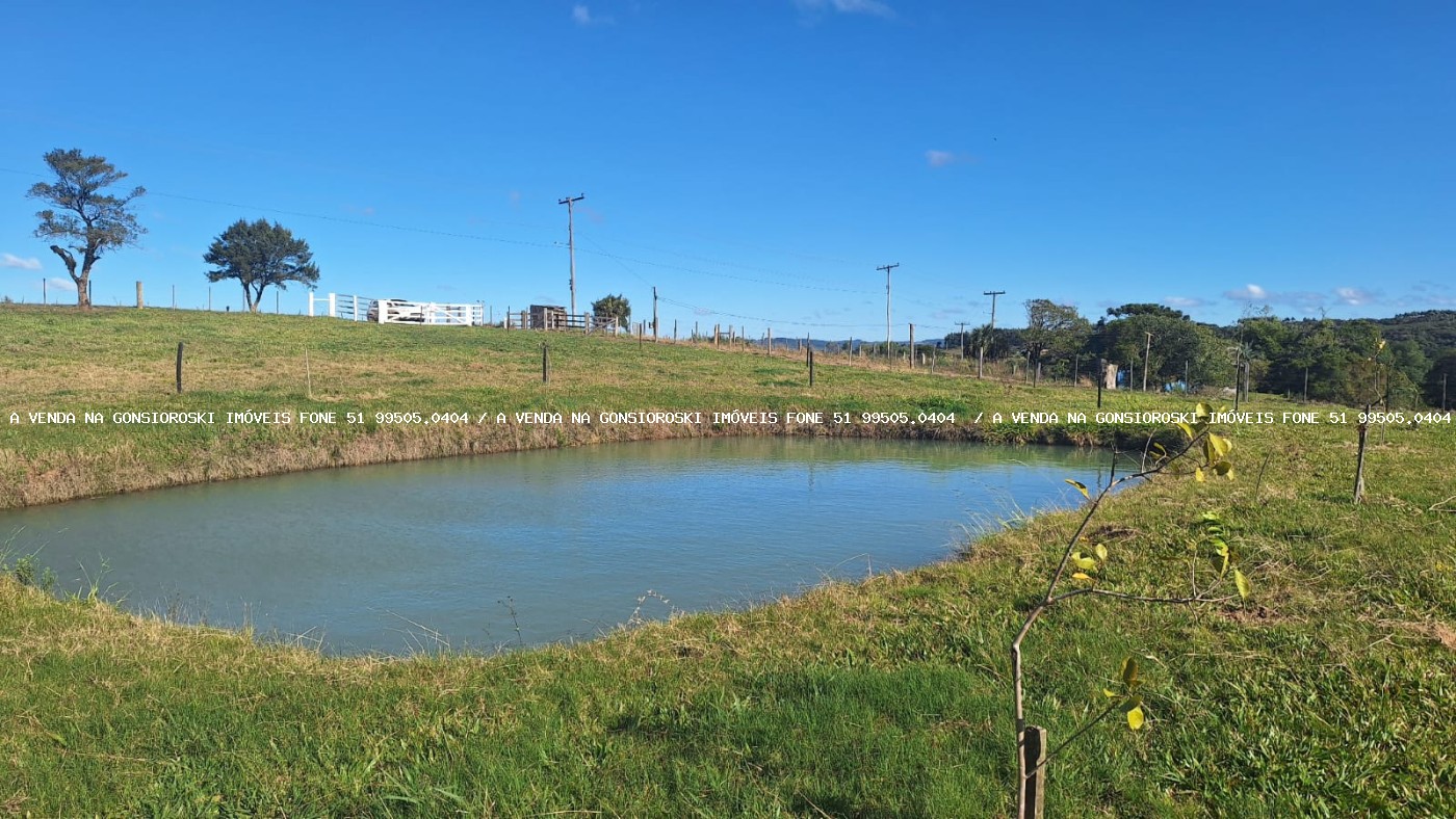Sítio à venda com 2 quartos, 60000m² - Foto 9