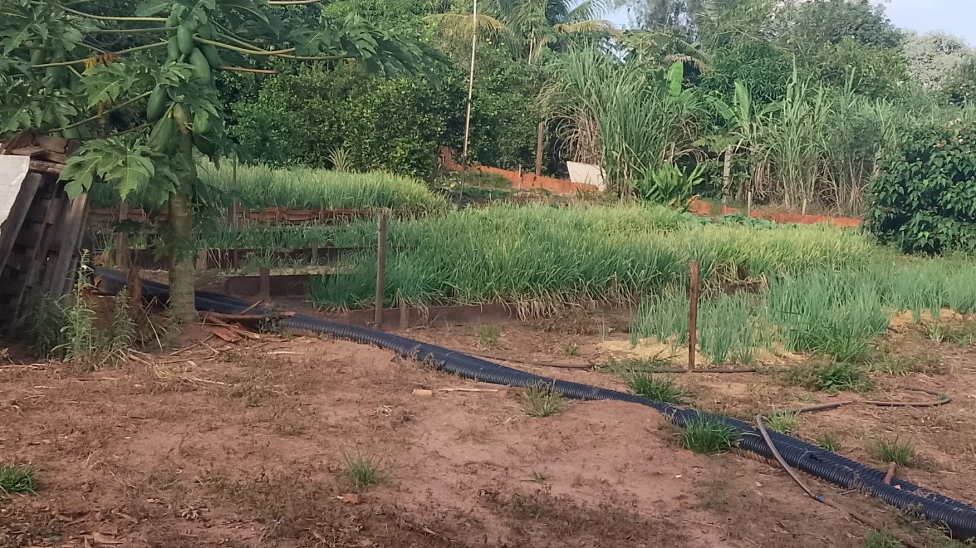 Chácara à venda, 6000m² - Foto 3
