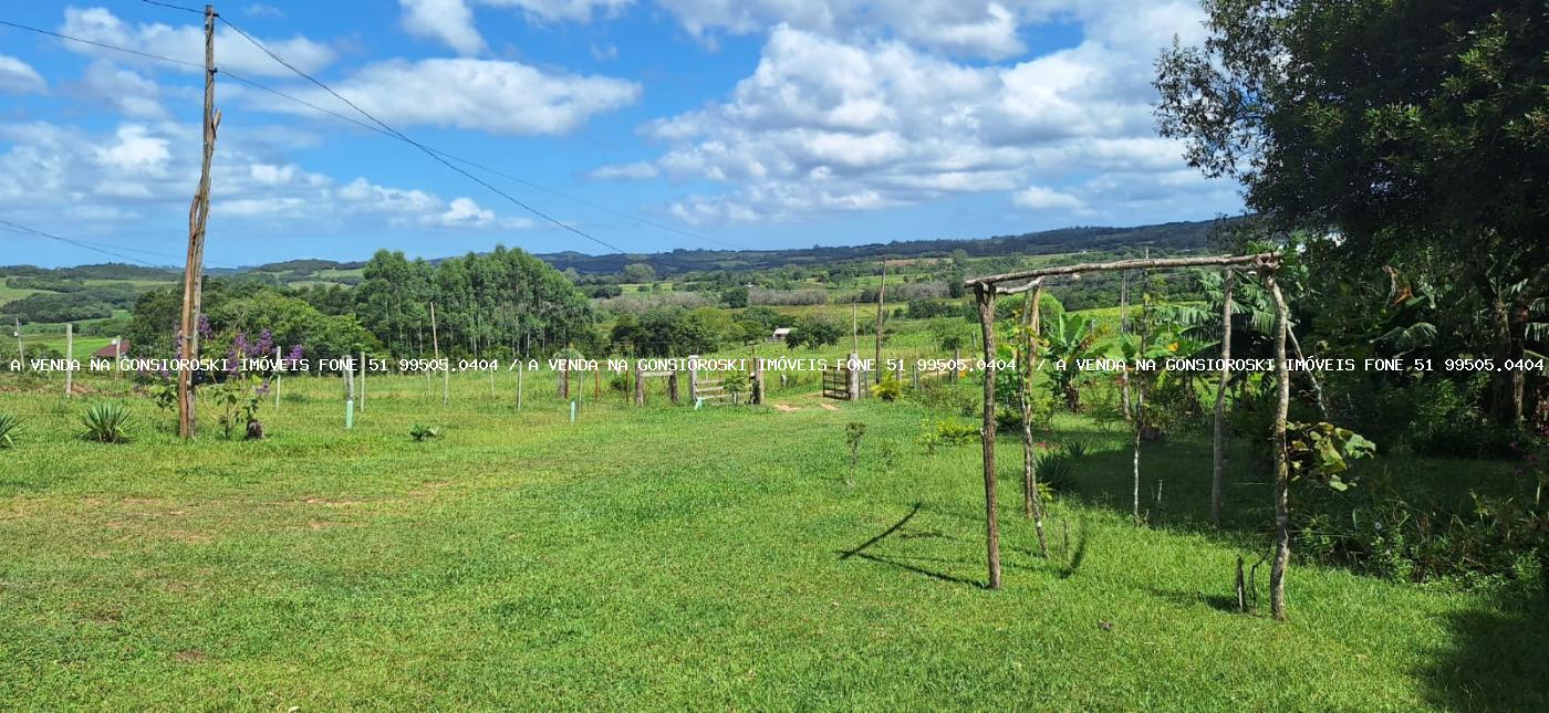 Chácara à venda com 2 quartos, 10000m² - Foto 12