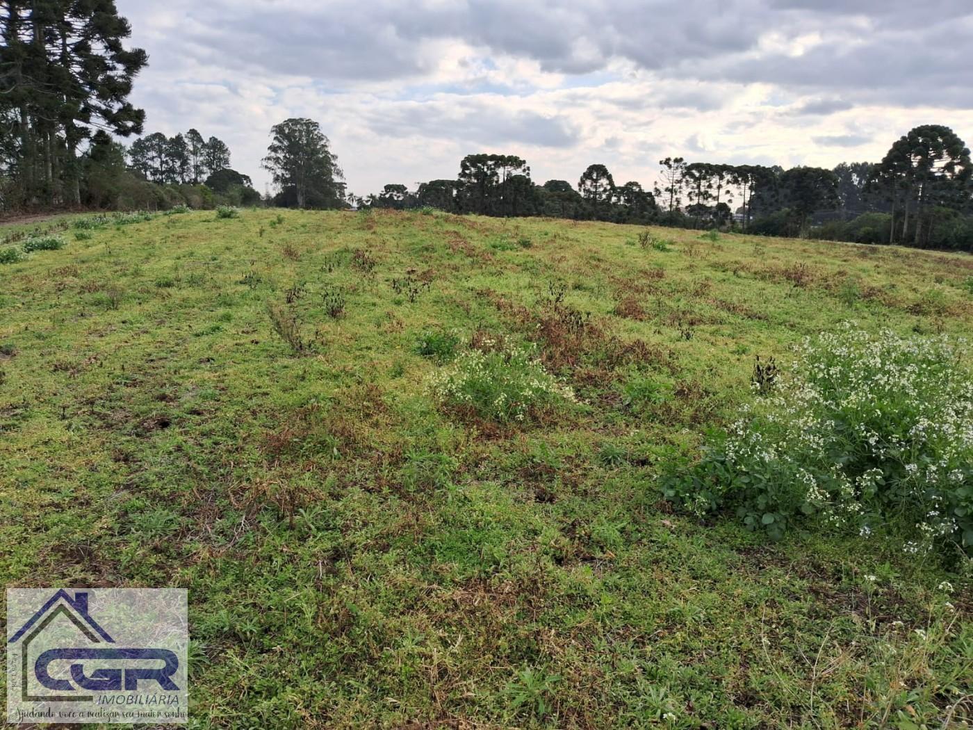 Loteamento e Condomínio à venda, 13200m² - Foto 5