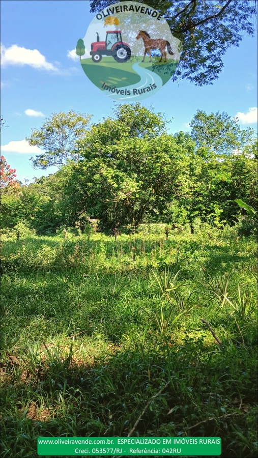 Fazenda à venda com 5 quartos, 96m² - Foto 47