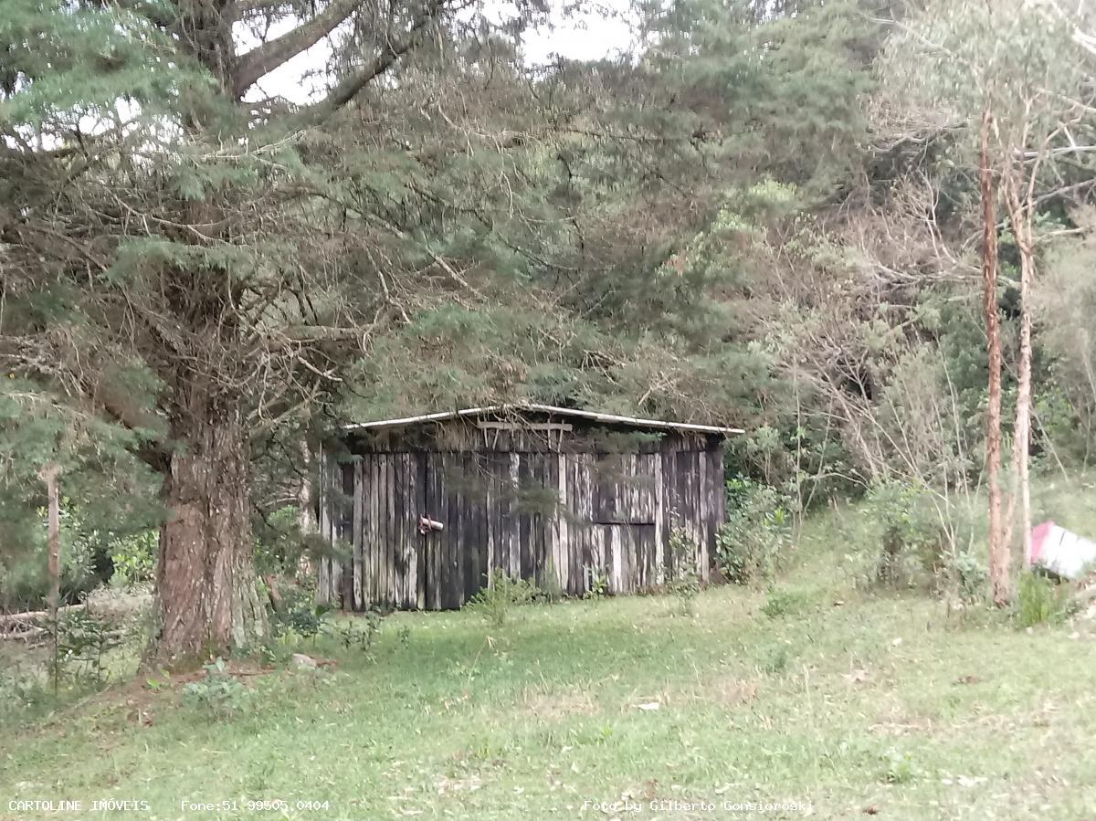 Sítio à venda com 4 quartos, 160000m² - Foto 7