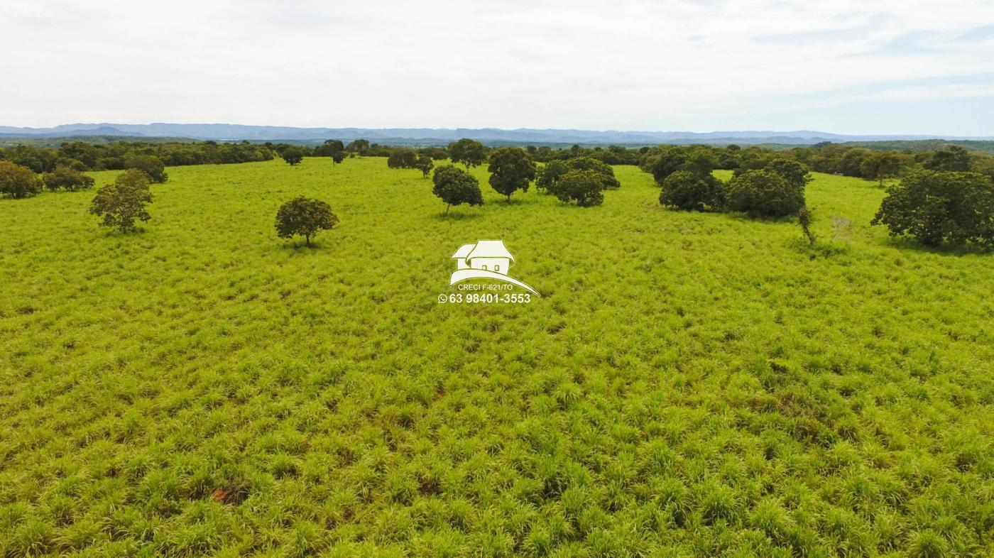 Fazenda à venda, 1m² - Foto 27