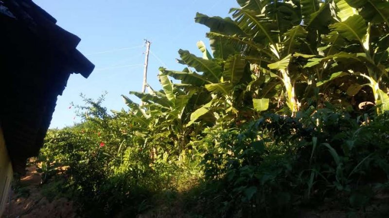 Fazenda à venda, 773m² - Foto 10