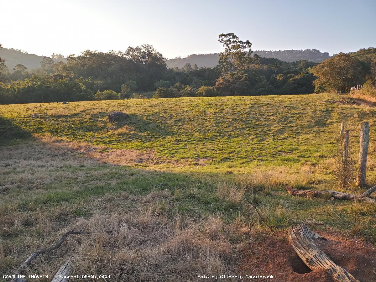 Sítio à venda com 3 quartos, 586000m² - Foto 18