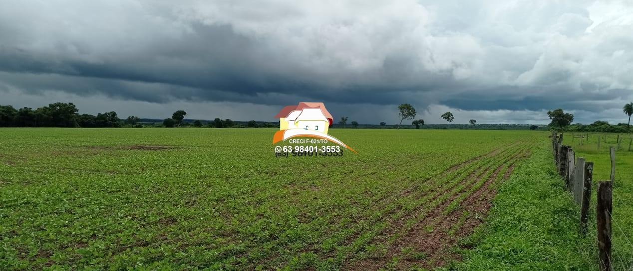 Fazenda à venda, 1m² - Foto 5