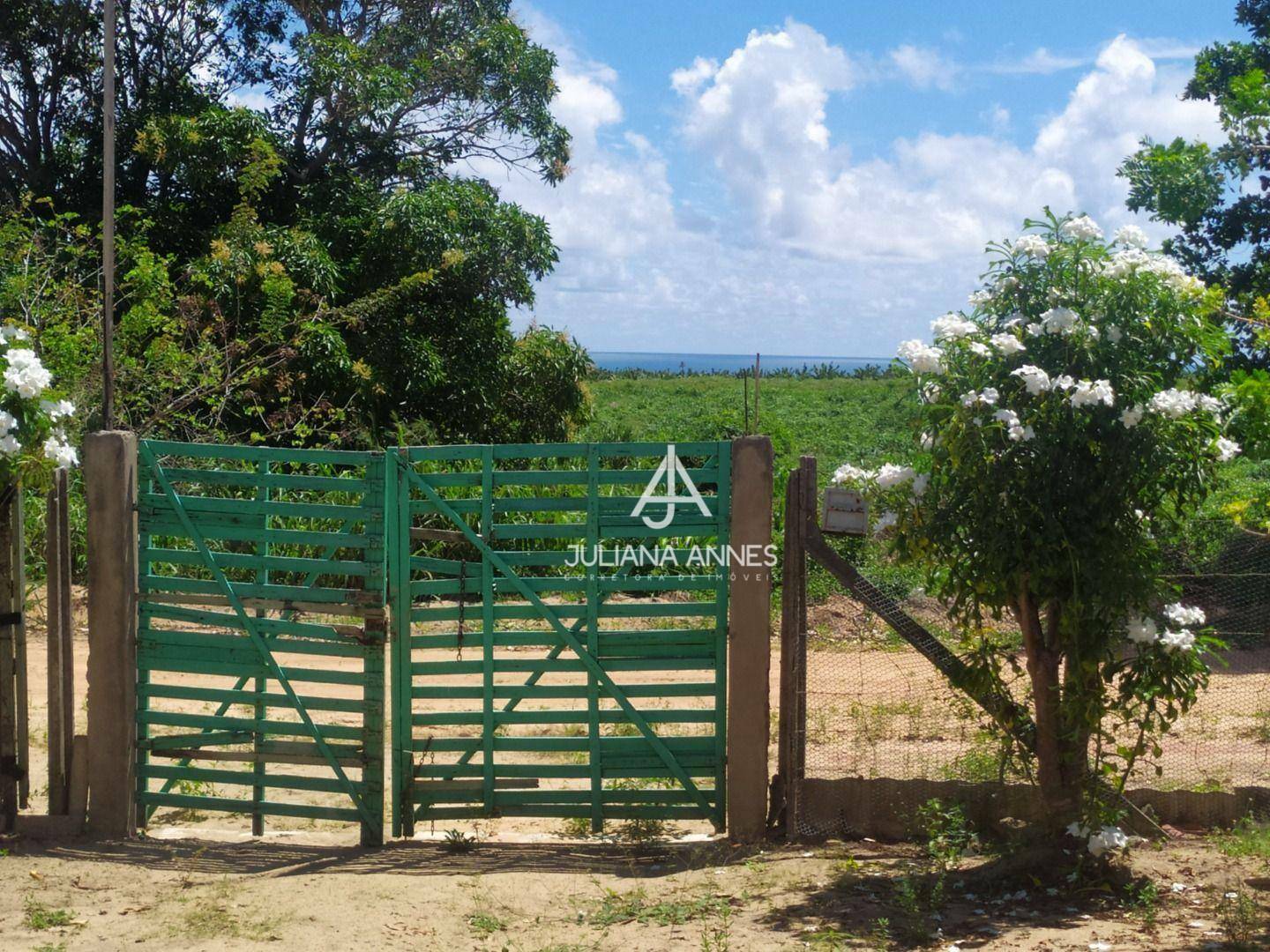 Chácara à venda com 1 quarto, 100m² - Foto 15