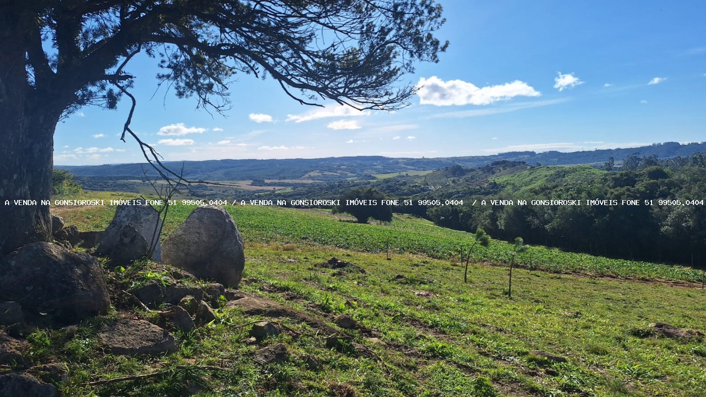Sítio à venda com 2 quartos, 60000m² - Foto 21