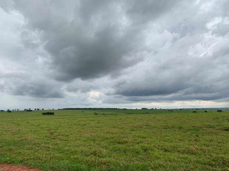 Fazenda à venda, 1007m² - Foto 25