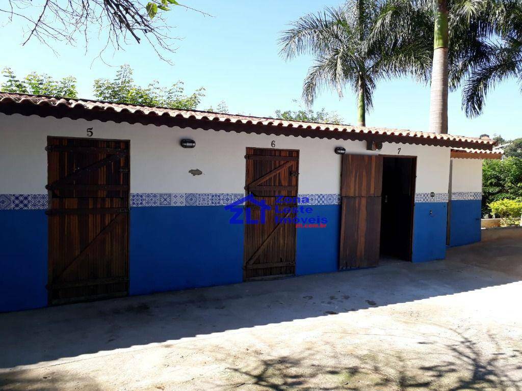 Chácara à venda com 6 quartos, 300m² - Foto 35