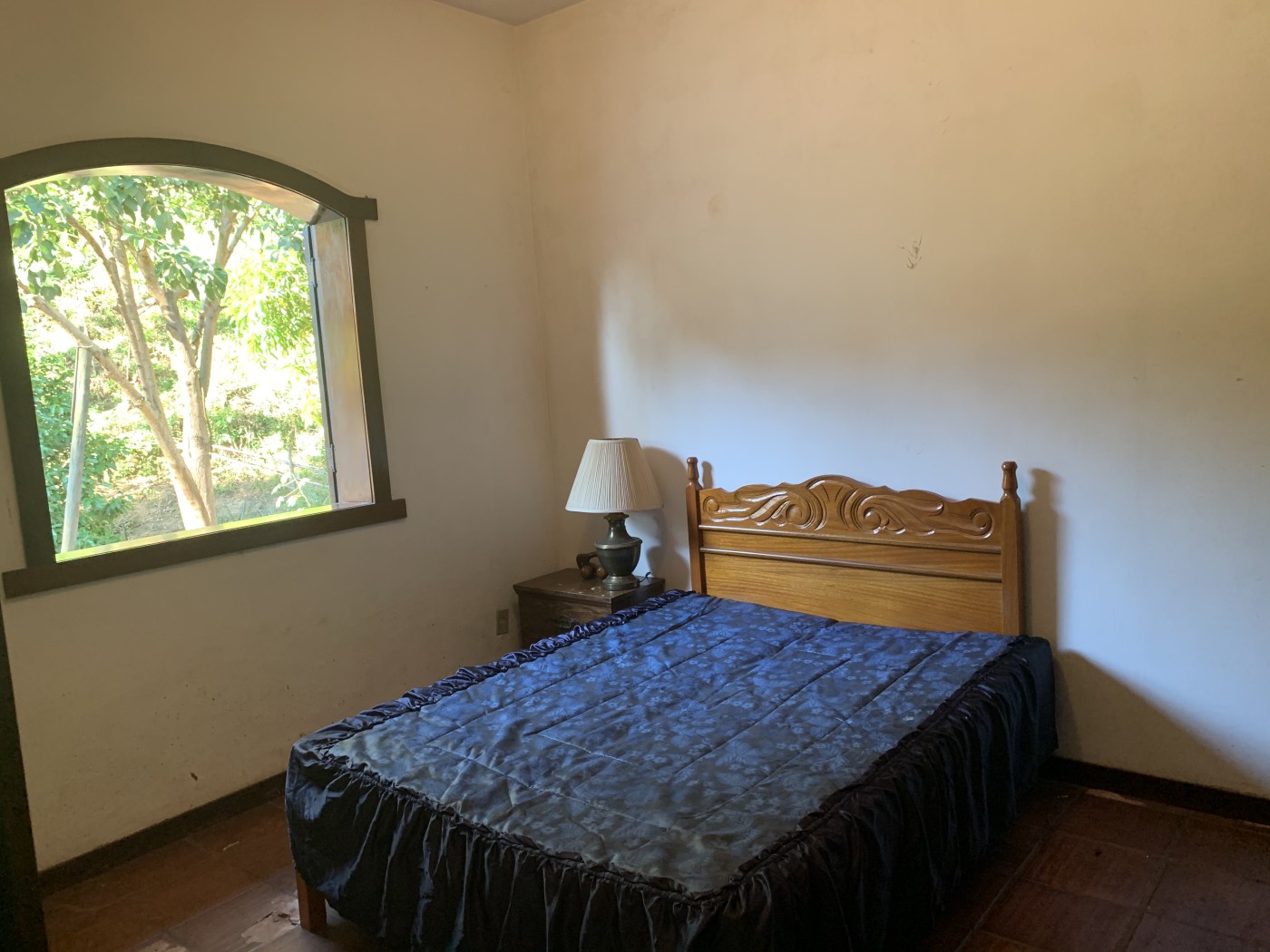 Sítio à venda com 3 quartos, 500m² - Foto 30