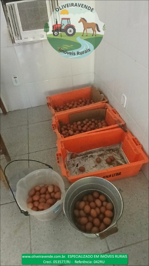 Fazenda à venda com 5 quartos, 96m² - Foto 28