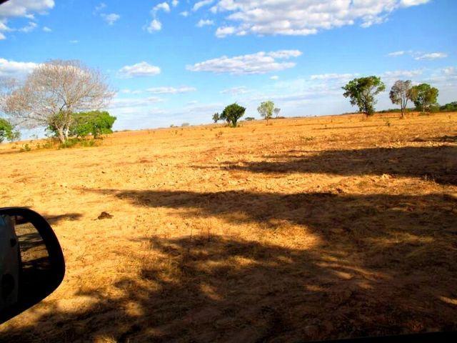 Fazenda à venda - Foto 10