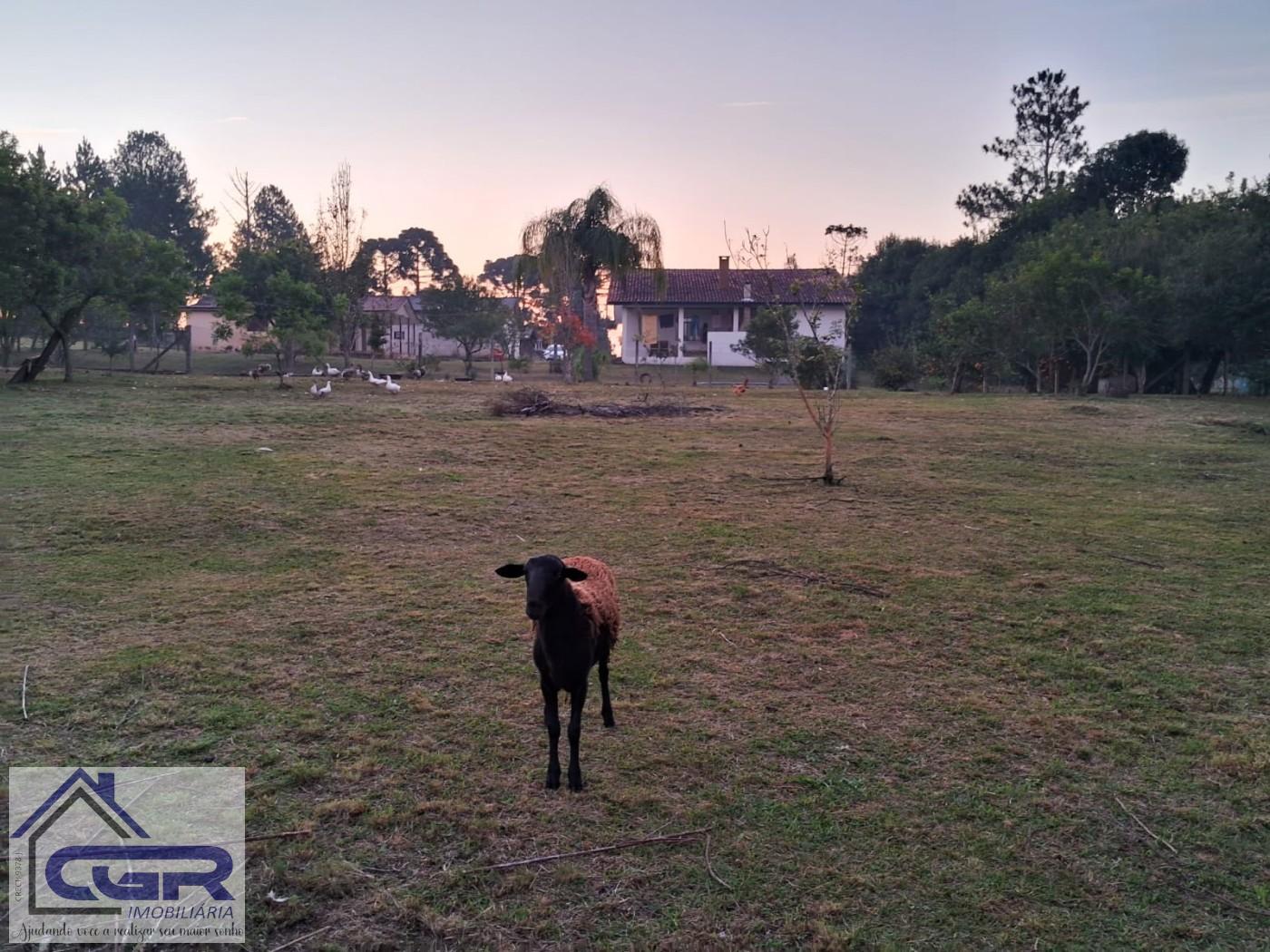 Fazenda para alugar com 3 quartos, 6000m² - Foto 21