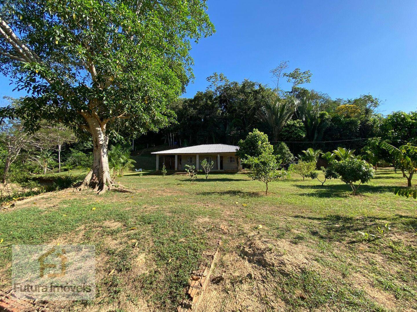 Chácara à venda com 3 quartos, 6000M2 - Foto 35