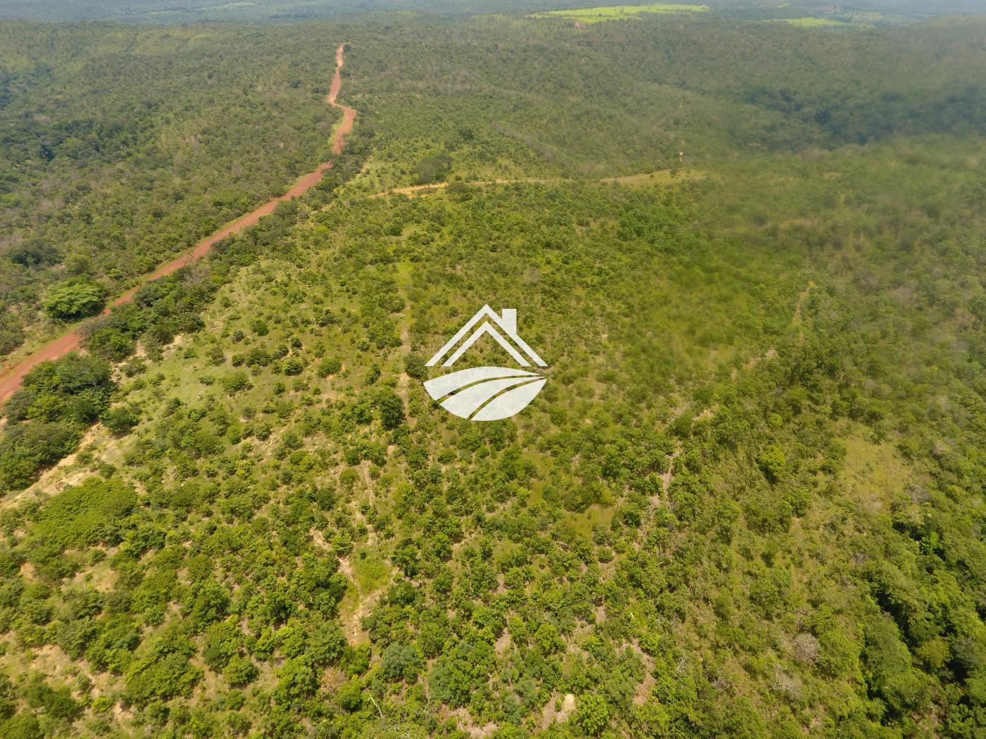 Fazenda à venda, 1m² - Foto 7