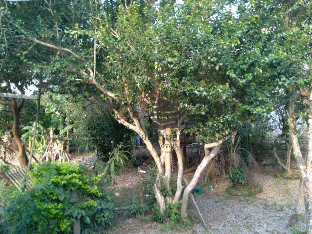 Chácara à venda com 2 quartos, 1275M2 - Foto 12