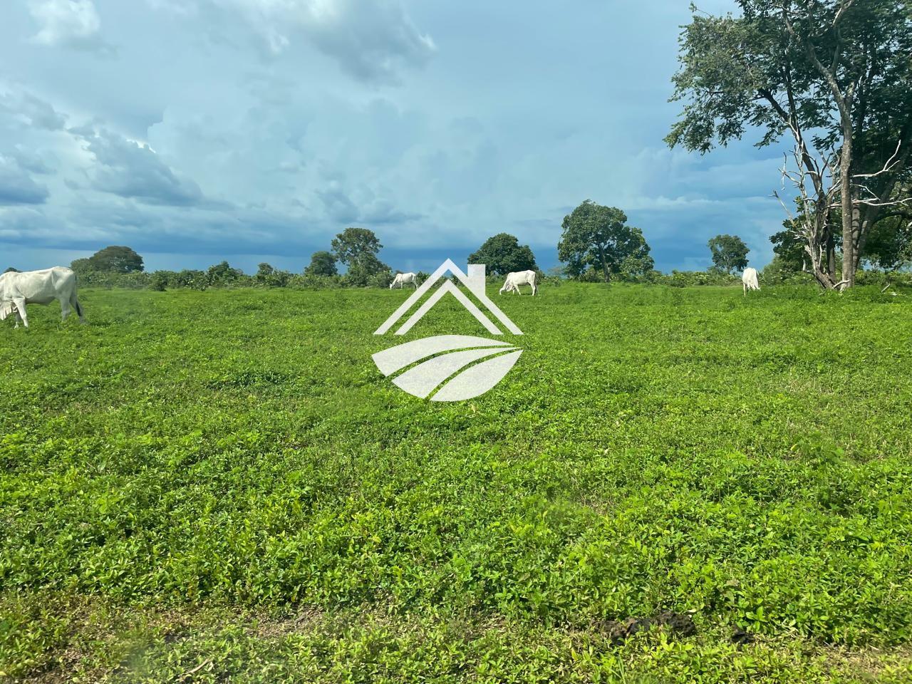 Fazenda para alugar, 1m² - Foto 1