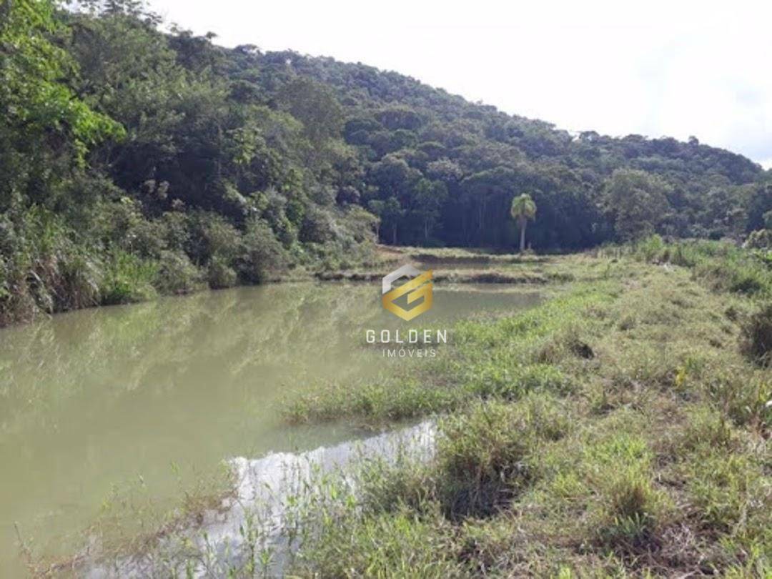 Sítio à venda com 5 quartos, 300m² - Foto 24