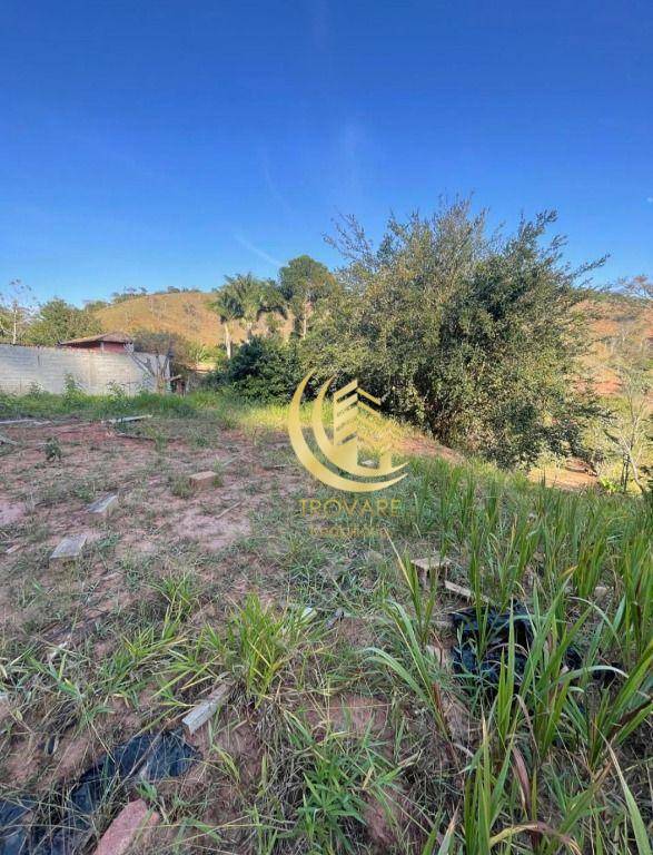 Chácara à venda com 2 quartos, 650m² - Foto 3