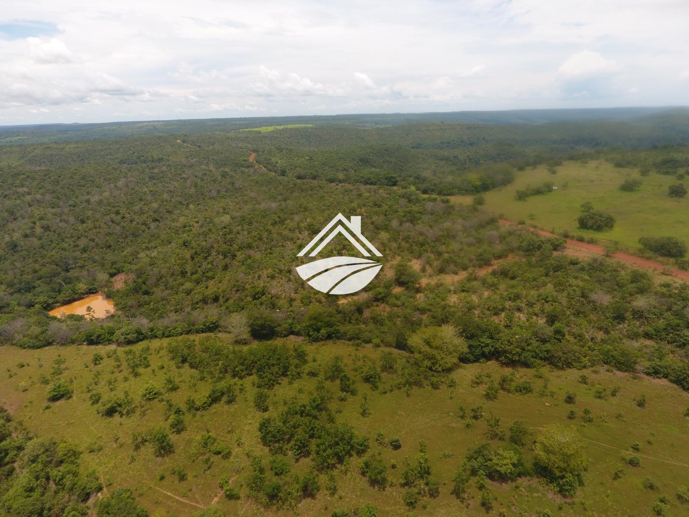 Fazenda à venda, 1m² - Foto 22