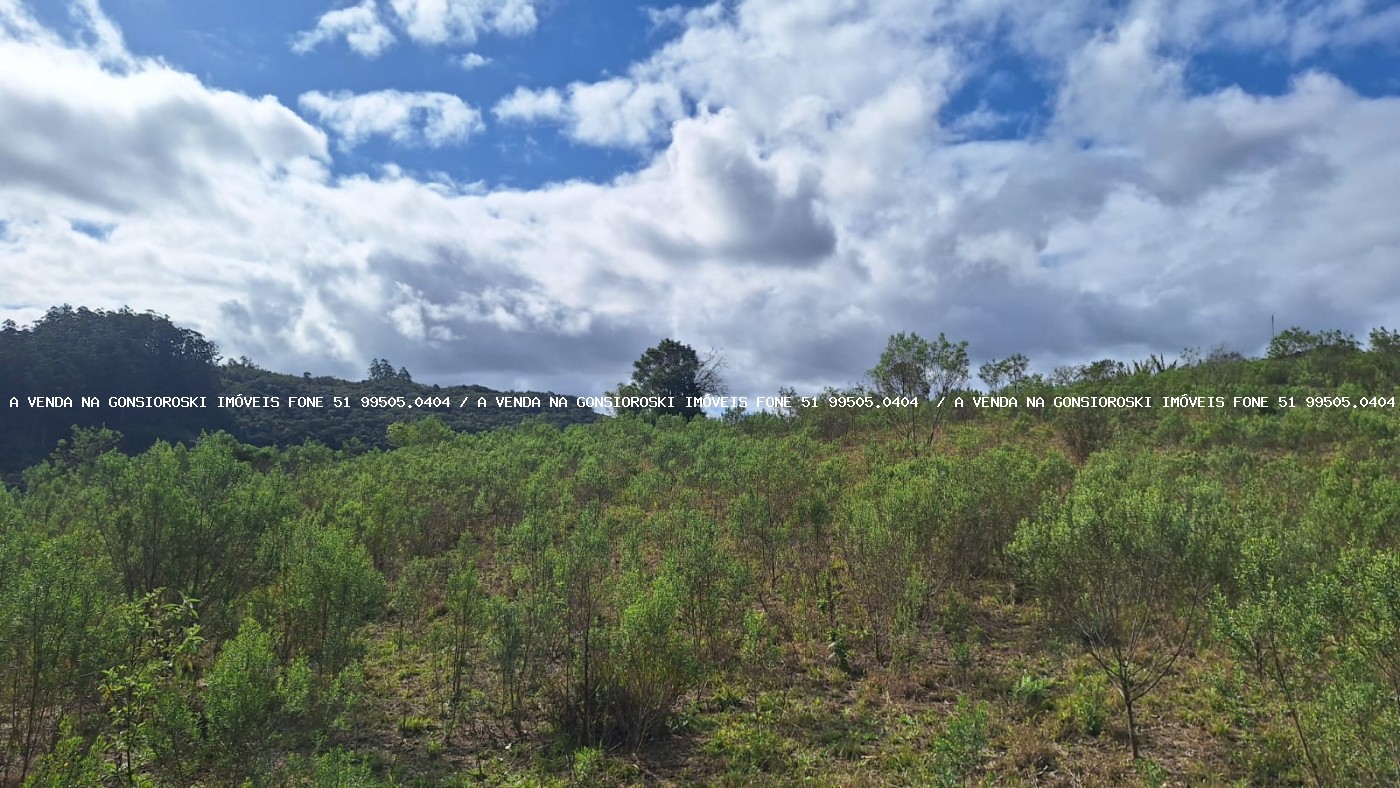 Sítio à venda com 1 quarto, 25000m² - Foto 6