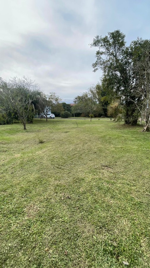 Sítio à venda com 2 quartos, 3000m² - Foto 32
